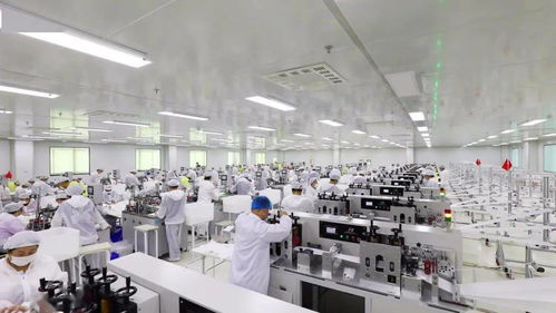 高新區(qū)榮獲“山東省優(yōu)質(zhì)醫(yī)療器械產(chǎn)品生產(chǎn)基地”稱號，產(chǎn)業(yè)發(fā)展邁上新臺階