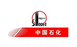中石化石油工程技術服務 賦能能源勘探開發的科技尖兵